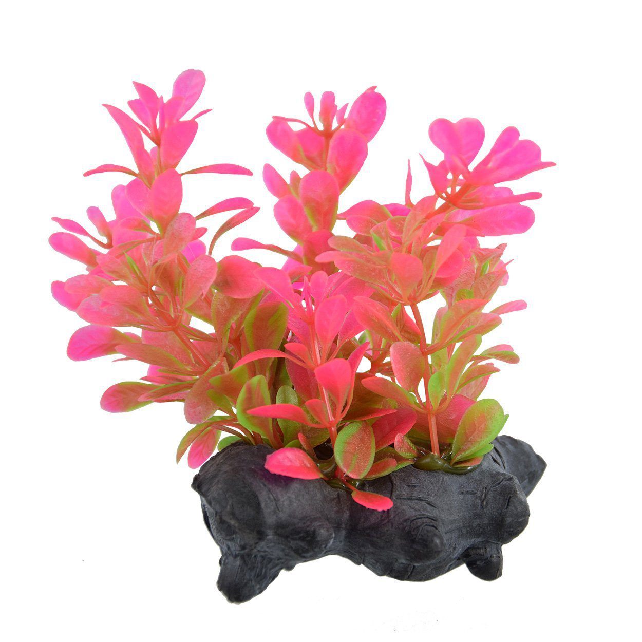 http://www.supercichlids.com/cdn/shop/products/underwater-treasures-red-moneywort-3-628742000593-28756195246128.jpg?v=1628023031