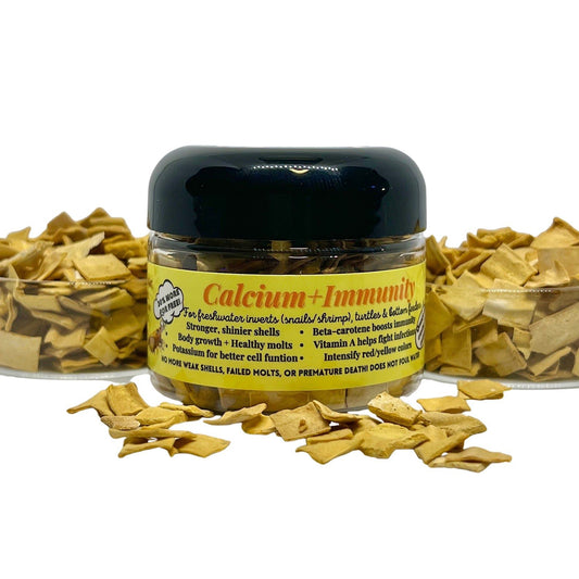 Kats Aquatics | Calcium + Immunity Tablets – Premium Snail, Shrimp & Bottom Feeder Food for Strong Shells, Healthy Molting & Immune Support Super Cichlids