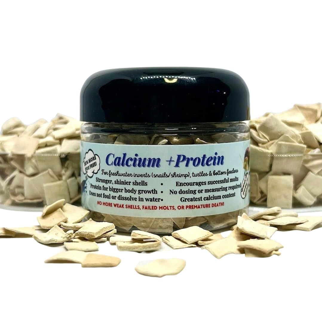 Kats Aquatics | Calcium + Protein Tablets - Great for Picky Eaters - Snails, Shrimp, Bottom Dwelling Fish, Plecos, Crabs, and More! Super Cichlids