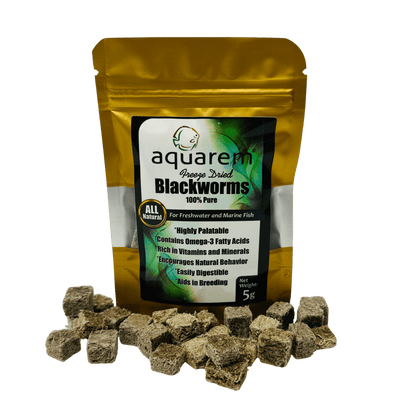 Premium Freeze Dried Blackworms (All Natural) 5 Grams (All Natural) 198715424393 Super Cichlids