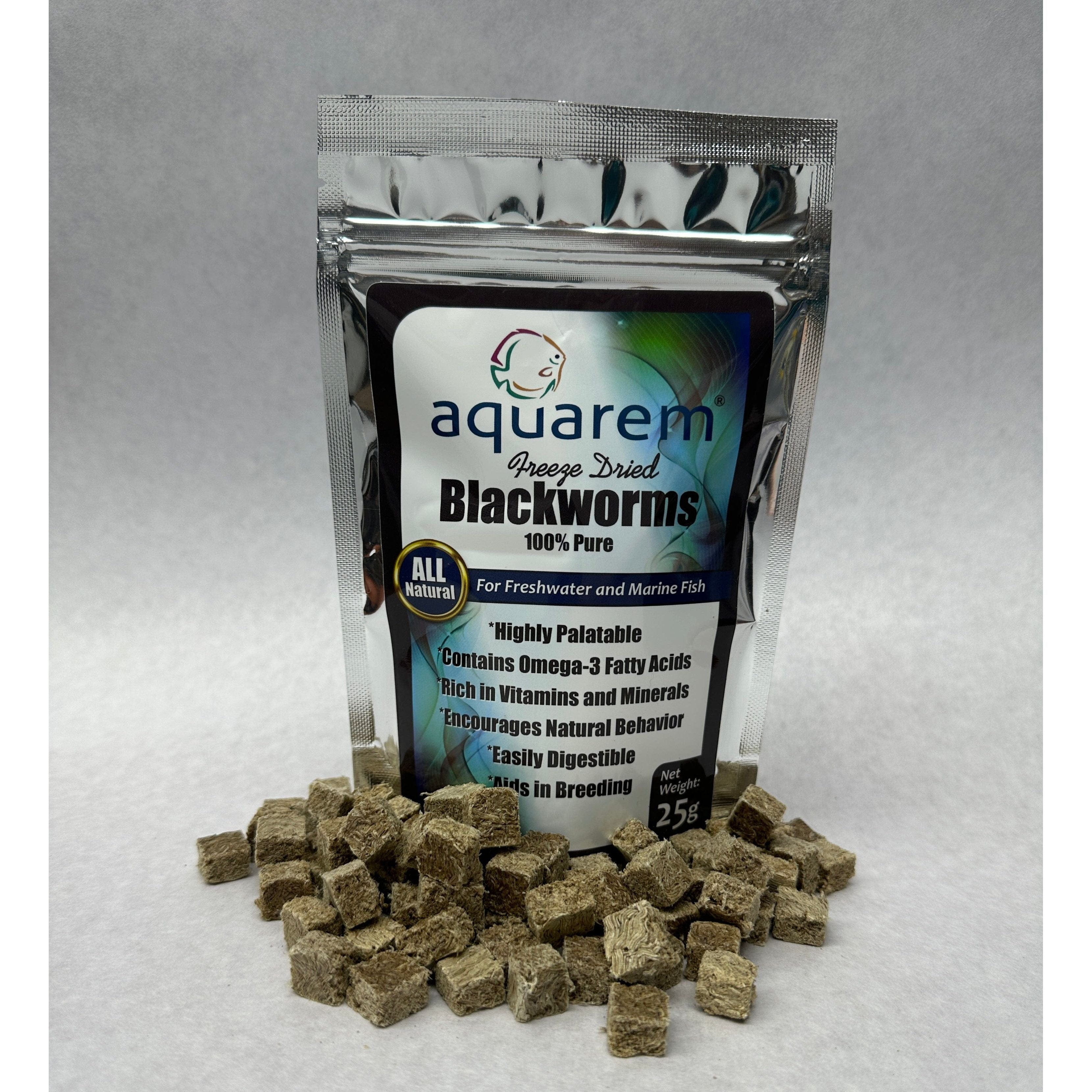 Blackworms aquarium outlet