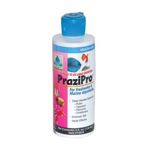 Aquarium Solutions | PraziPro – Super Cichlids